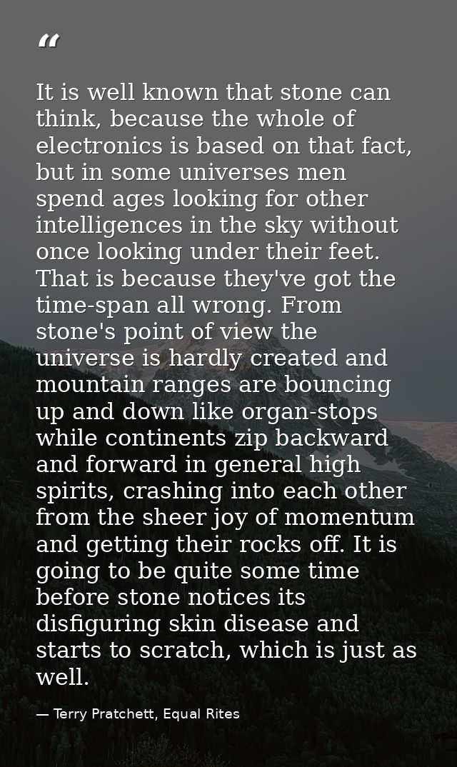 It is well known that stone can think, because the whole of electronics is based on that fact, but in some universes men — Terry Pratchett, Equal Rites