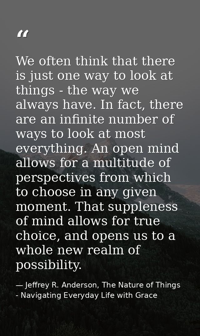 We often think that there is just one way to look at things - the way we always have. In fact, there are an infinite num — Jeffrey R. Anderson, The Nature of Things - Navigating Everyday Life with Grace