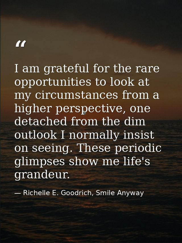 I am grateful for the rare opportunities to look at my circumstances from a higher perspective, one detached from the di — Richelle E. Goodrich, Smile Anyway