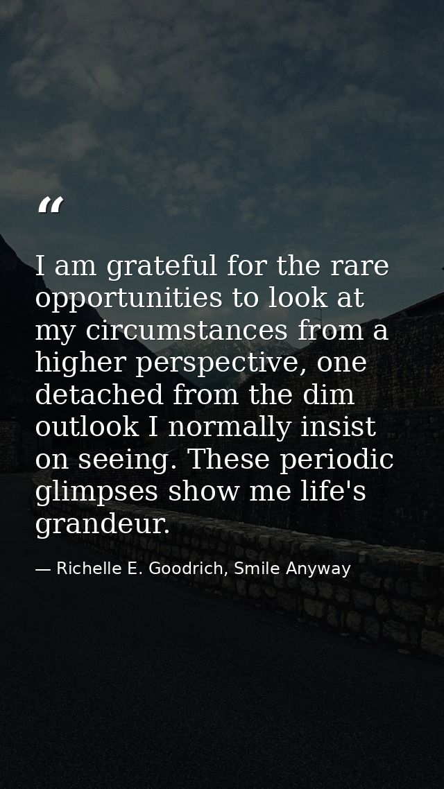 I am grateful for the rare opportunities to look at my circumstances from a higher perspective, one detached from the di — Richelle E. Goodrich, Smile Anyway