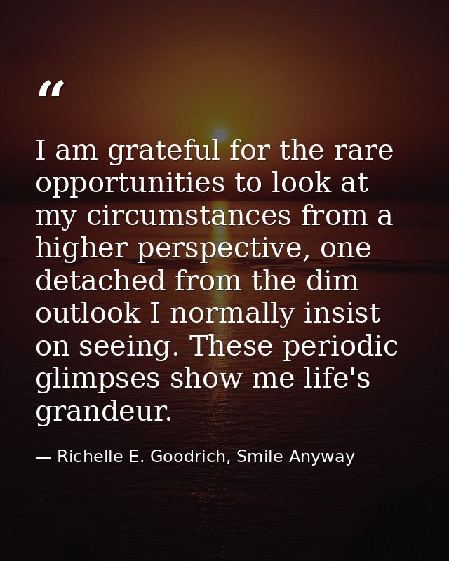 I am grateful for the rare opportunities to look at my circumstances from a higher perspective, one detached from the di — Richelle E. Goodrich, Smile Anyway