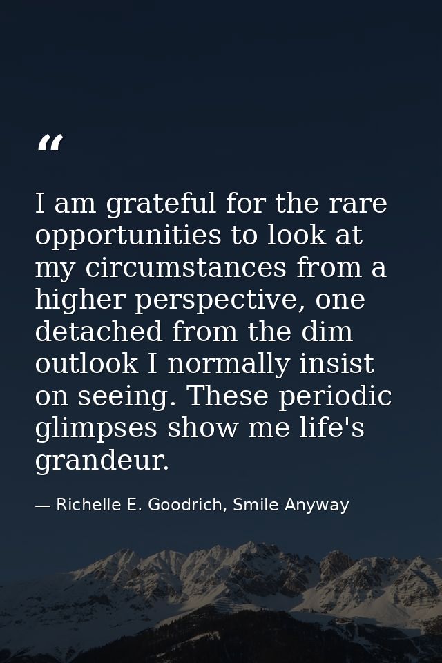 I am grateful for the rare opportunities to look at my circumstances from a higher perspective, one detached from the di — Richelle E. Goodrich, Smile Anyway