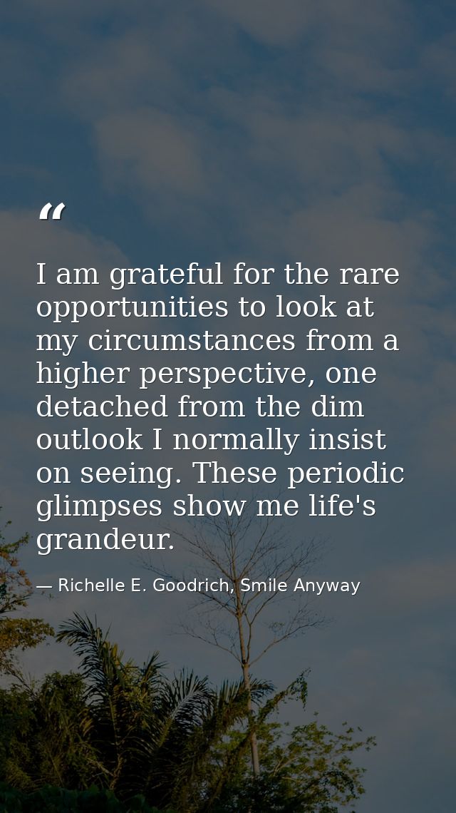I am grateful for the rare opportunities to look at my circumstances from a higher perspective, one detached from the di — Richelle E. Goodrich, Smile Anyway