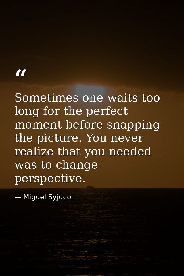 Sometimes one waits too long for the perfect moment before snapping the picture. You never realize that you needed was t — Miguel Syjuco