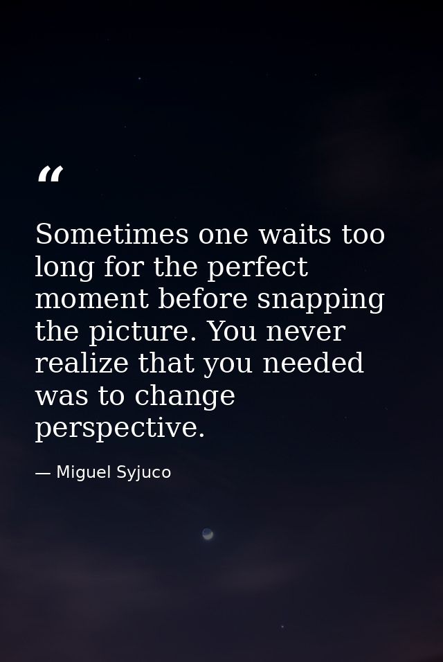 Sometimes one waits too long for the perfect moment before snapping the picture. You never realize that you needed was t — Miguel Syjuco