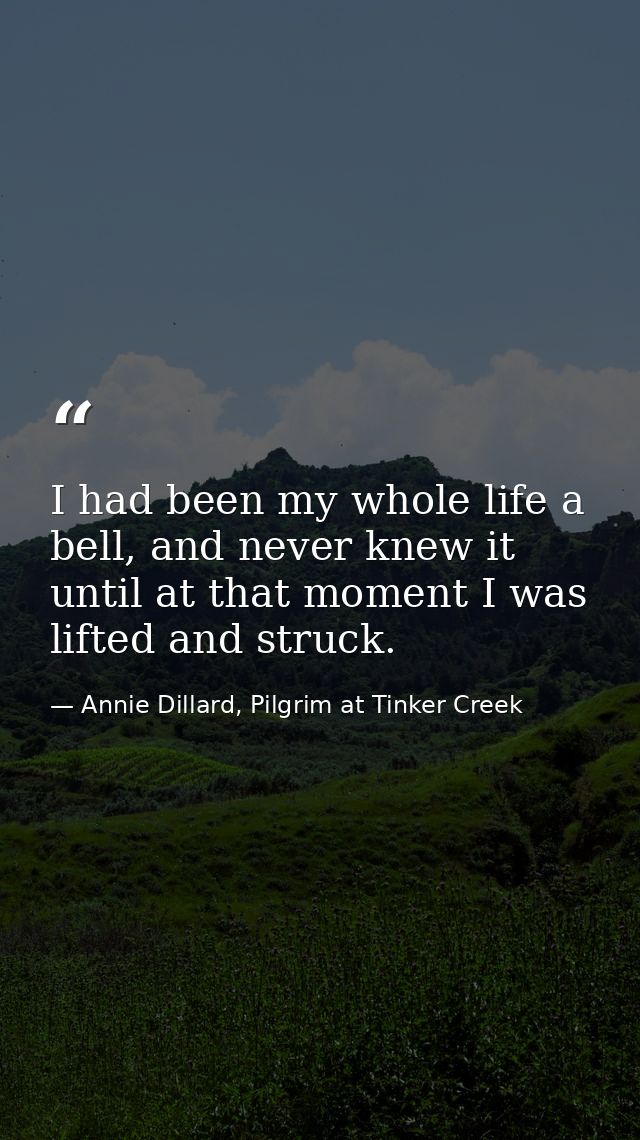 I had been my whole life a bell, and never knew it until at that moment I was lifted and struck. — Annie Dillard, Pilgrim at Tinker Creek
