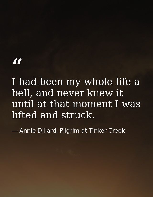 I had been my whole life a bell, and never knew it until at that moment I was lifted and struck. — Annie Dillard, Pilgrim at Tinker Creek
