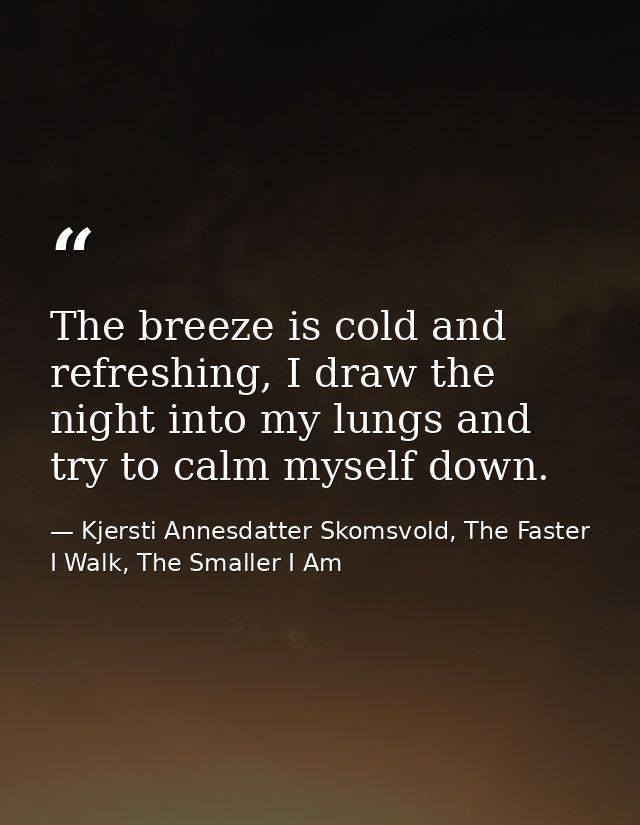 The breeze is cold and refreshing, I draw the night into my lungs and try to calm myself down. — Kjersti Annesdatter Skomsvold, The Faster I Walk, The Smaller I Am