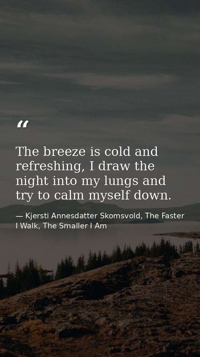 The breeze is cold and refreshing, I draw the night into my lungs and try to calm myself down. — Kjersti Annesdatter Skomsvold, The Faster I Walk, The Smaller I Am