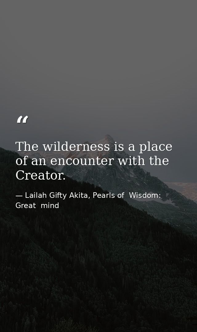 The wilderness is a place of an encounter with the Creator. — Lailah Gifty Akita, Pearls of  Wisdom: Great  mind