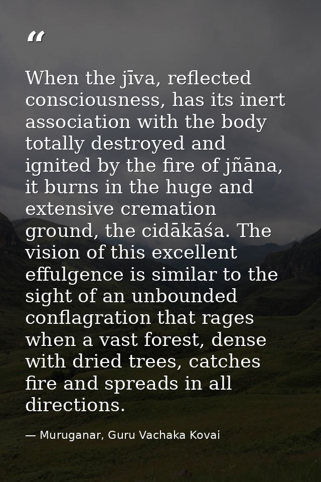 When the jīva, reflected consciousness, has its inert association with the body totally destroyed and ignited by the fir — Muruganar, Guru Vachaka Kovai