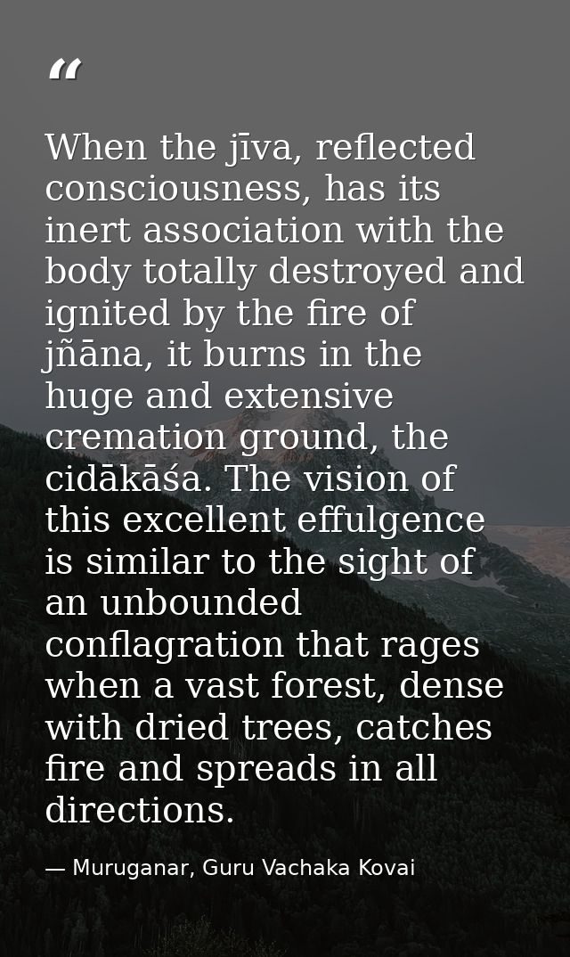 When the jīva, reflected consciousness, has its inert association with the body totally destroyed and ignited by the fir — Muruganar, Guru Vachaka Kovai