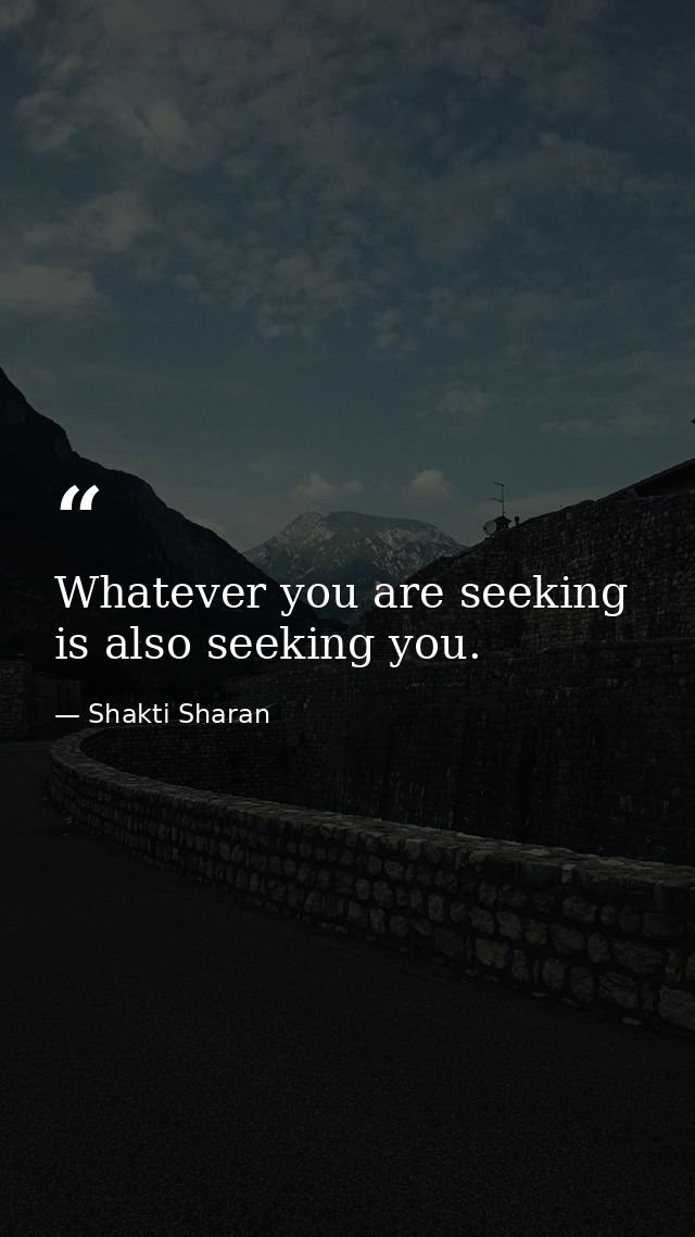 Whatever you are seeking is also seeking you. — Shakti Sharan