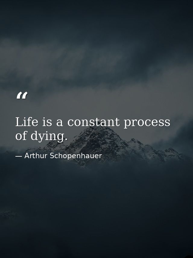 Life is a constant process of dying. — Arthur Schopenhauer