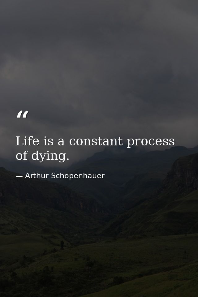 Life is a constant process of dying. — Arthur Schopenhauer