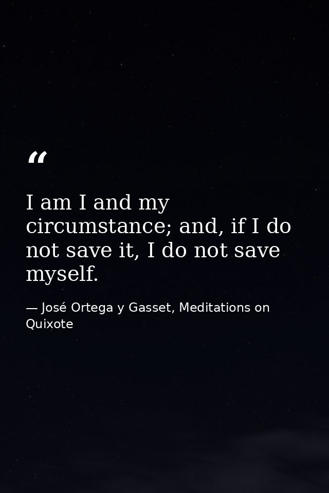 I am I and my circumstance; and, if I do not save it, I do not save myself. — José Ortega y Gasset, Meditations on Quixote