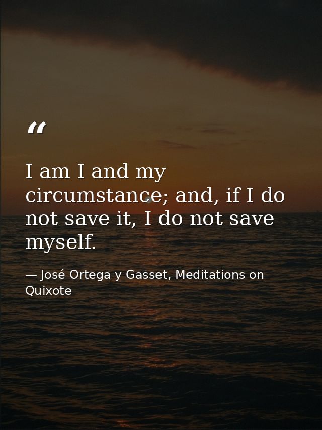 I am I and my circumstance; and, if I do not save it, I do not save myself. — José Ortega y Gasset, Meditations on Quixote