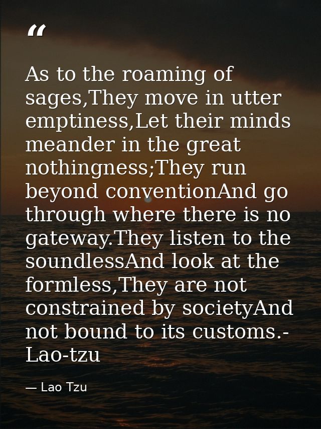 As to the roaming of sages,They move in utter emptiness,Let their minds meander in the great nothingness;They run beyond — Lao Tzu