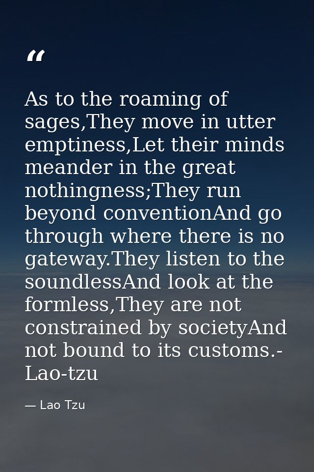 As to the roaming of sages,They move in utter emptiness,Let their minds meander in the great nothingness;They run beyond — Lao Tzu
