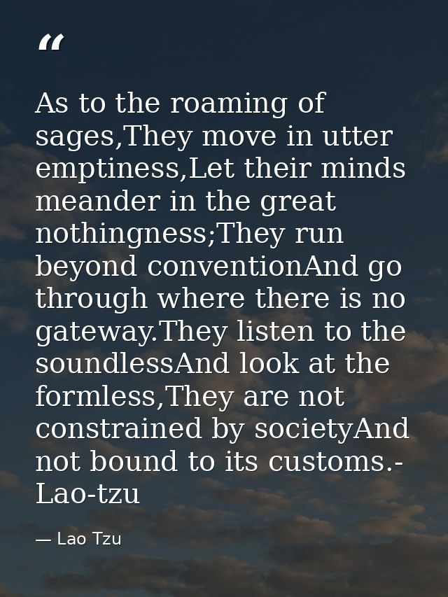 As to the roaming of sages,They move in utter emptiness,Let their minds meander in the great nothingness;They run beyond — Lao Tzu