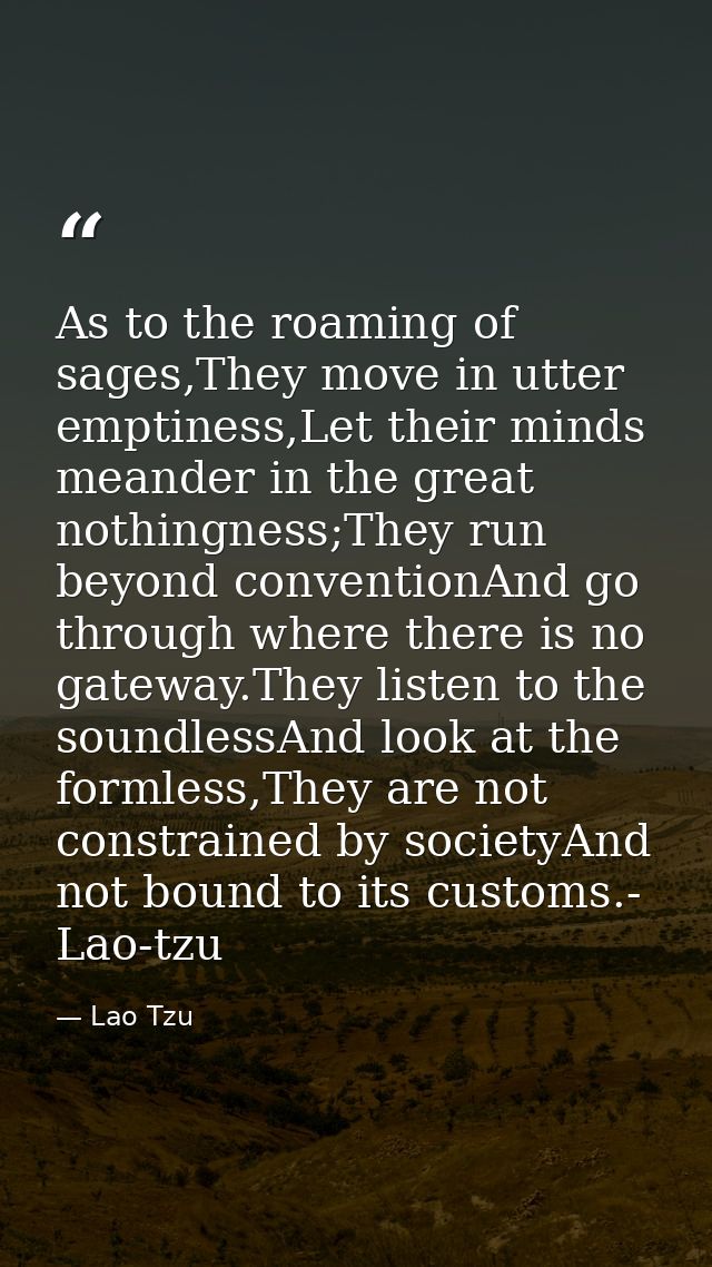 As to the roaming of sages,They move in utter emptiness,Let their minds meander in the great nothingness;They run beyond — Lao Tzu