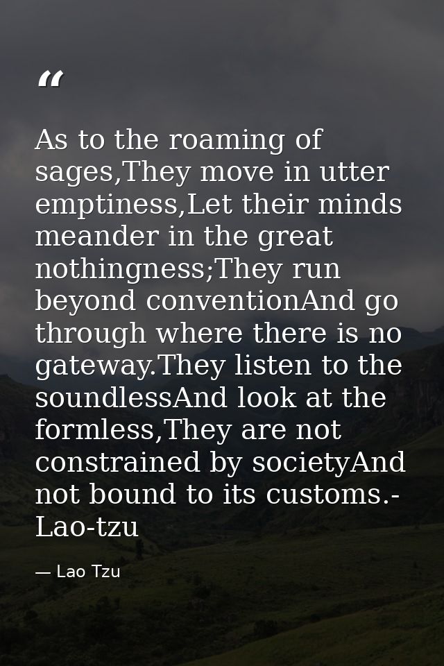 As to the roaming of sages,They move in utter emptiness,Let their minds meander in the great nothingness;They run beyond — Lao Tzu