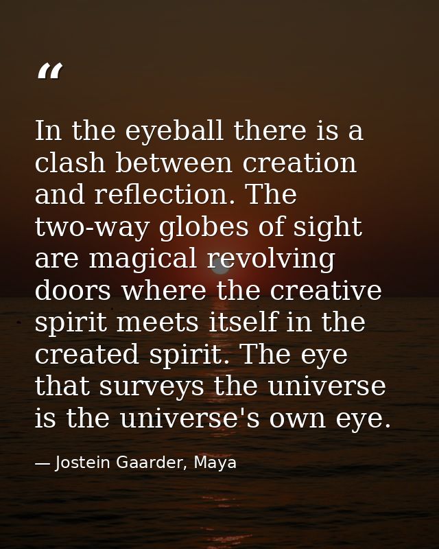 In the eyeball there is a clash between creation and reflection. The two-way globes of sight are magical revolving doors — Jostein Gaarder, Maya