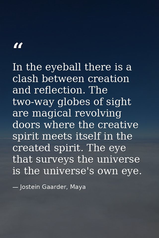 In the eyeball there is a clash between creation and reflection. The two-way globes of sight are magical revolving doors — Jostein Gaarder, Maya