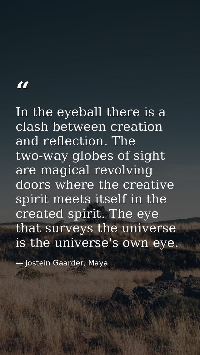 In the eyeball there is a clash between creation and reflection. The two-way globes of sight are magical revolving doors — Jostein Gaarder, Maya