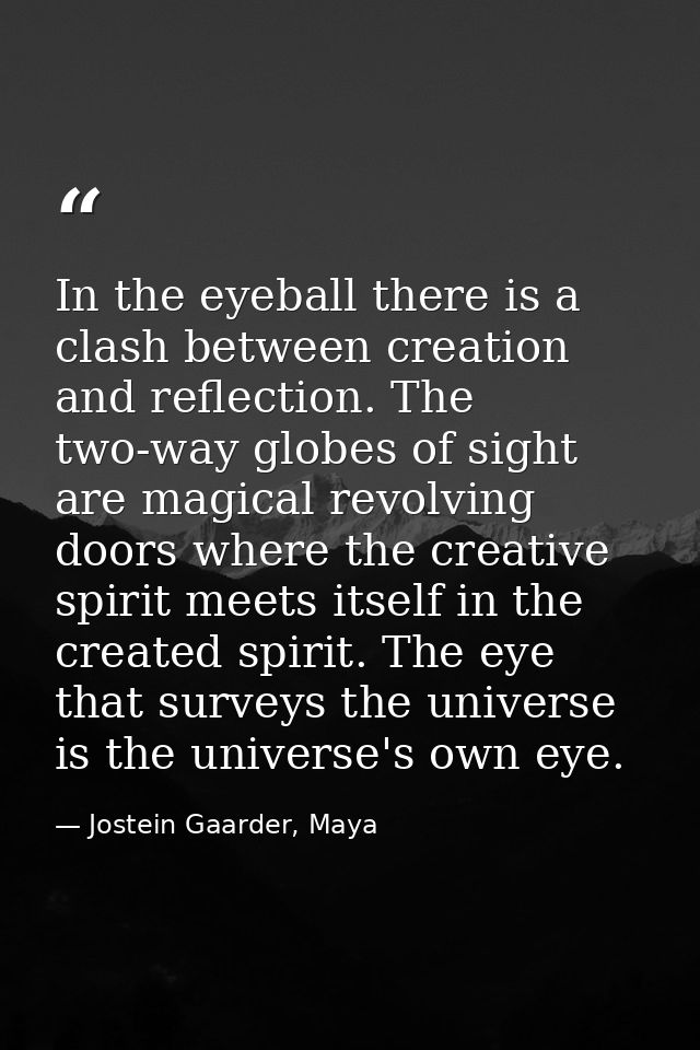 In the eyeball there is a clash between creation and reflection. The two-way globes of sight are magical revolving doors — Jostein Gaarder, Maya