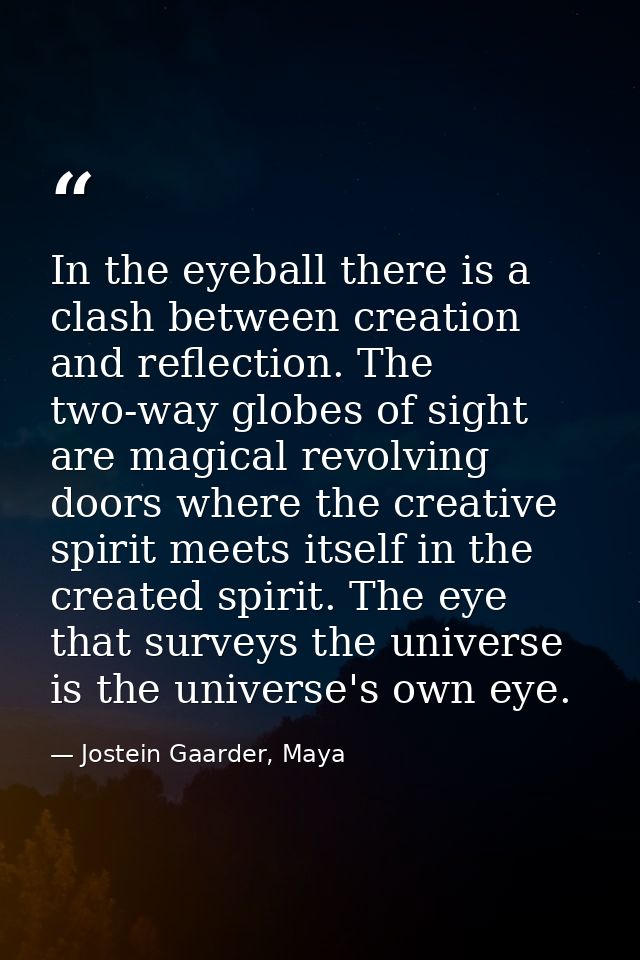 In the eyeball there is a clash between creation and reflection. The two-way globes of sight are magical revolving doors — Jostein Gaarder, Maya