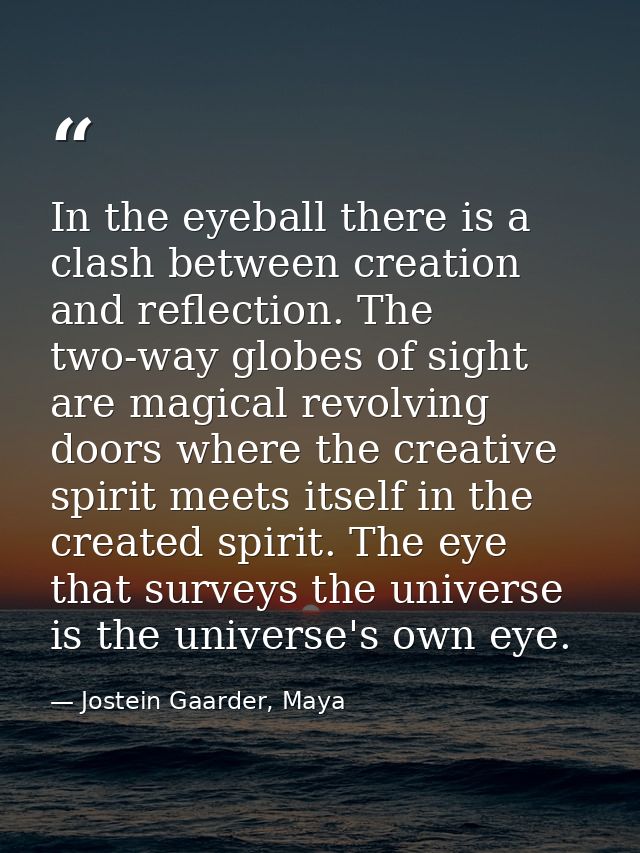 In the eyeball there is a clash between creation and reflection. The two-way globes of sight are magical revolving doors — Jostein Gaarder, Maya