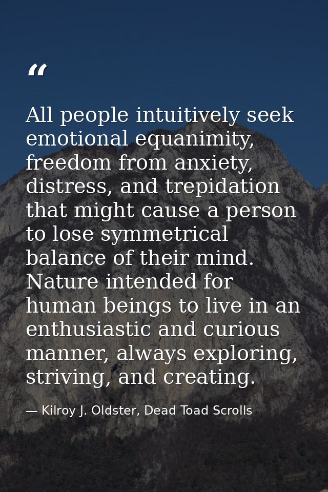 All people intuitively seek emotional equanimity, freedom from anxiety, distress, and trepidation that might cause a per — Kilroy J. Oldster, Dead Toad Scrolls