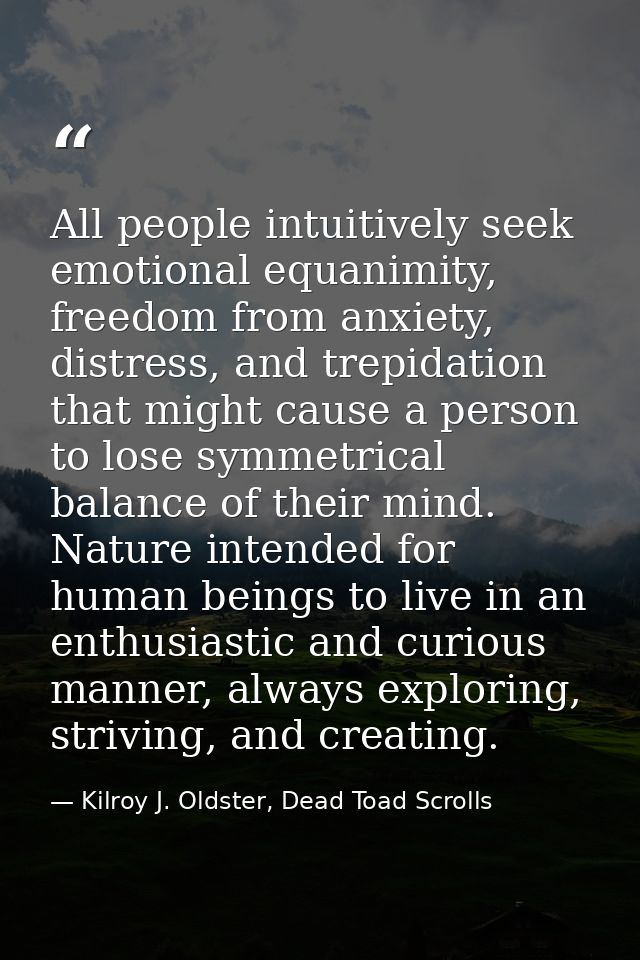 All people intuitively seek emotional equanimity, freedom from anxiety, distress, and trepidation that might cause a per — Kilroy J. Oldster, Dead Toad Scrolls