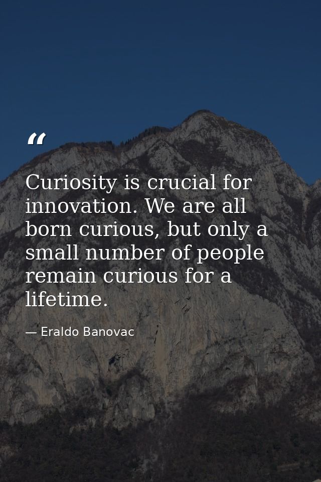 Curiosity is crucial for innovation. We are all born curious, but only a small number of people remain curious for a lif — Eraldo Banovac
