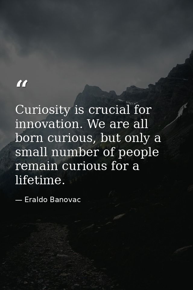Curiosity is crucial for innovation. We are all born curious, but only a small number of people remain curious for a lif — Eraldo Banovac