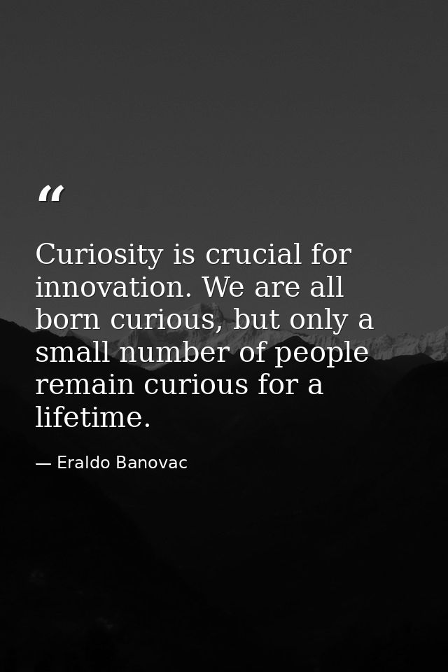 Curiosity is crucial for innovation. We are all born curious, but only a small number of people remain curious for a lif — Eraldo Banovac