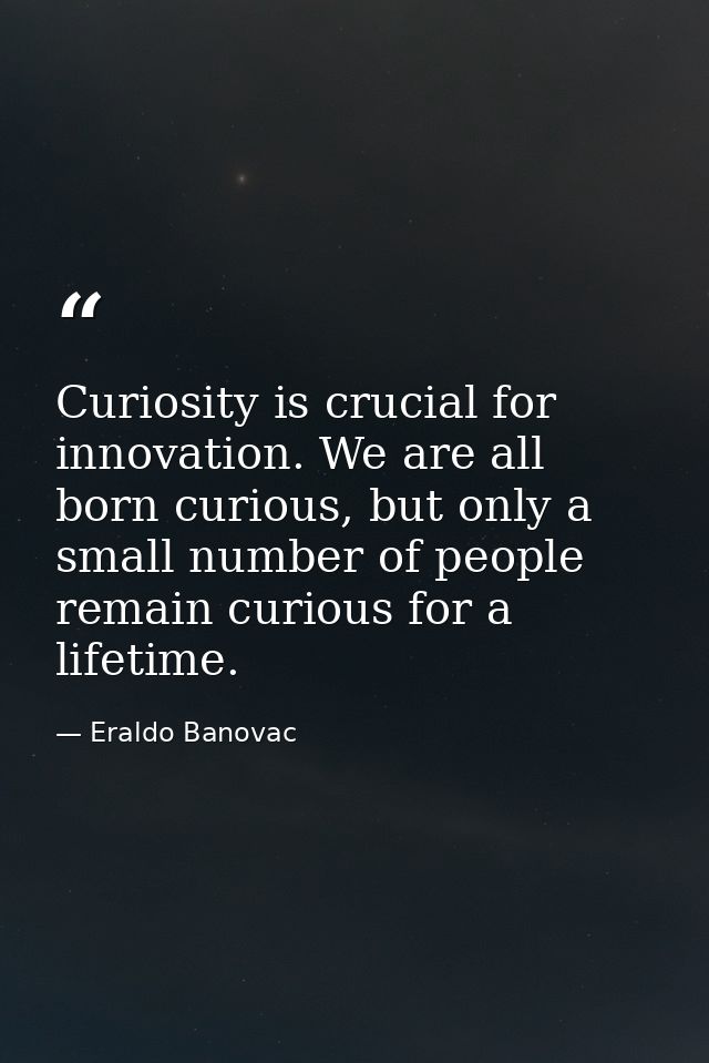 Curiosity is crucial for innovation. We are all born curious, but only a small number of people remain curious for a lif — Eraldo Banovac