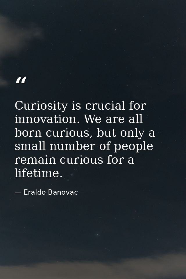 Curiosity is crucial for innovation. We are all born curious, but only a small number of people remain curious for a lif — Eraldo Banovac