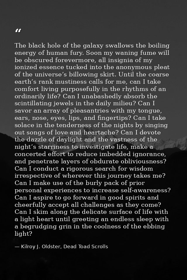 The black hole of the galaxy swallows the boiling energy of human fury. Soon my waning fume will be obscured forevermore — Kilroy J. Oldster, Dead Toad Scrolls