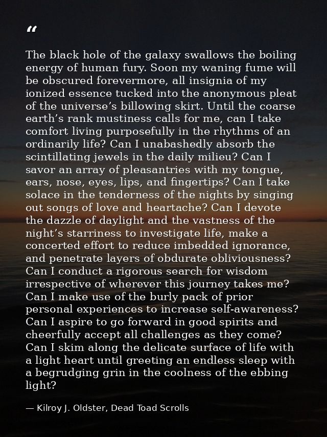 The black hole of the galaxy swallows the boiling energy of human fury. Soon my waning fume will be obscured forevermore — Kilroy J. Oldster, Dead Toad Scrolls