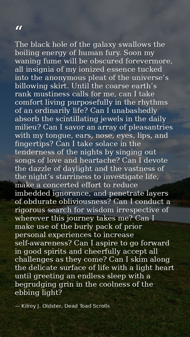 The black hole of the galaxy swallows the boiling energy of human fury. Soon my waning fume will be obscured forevermore — Kilroy J. Oldster, Dead Toad Scrolls