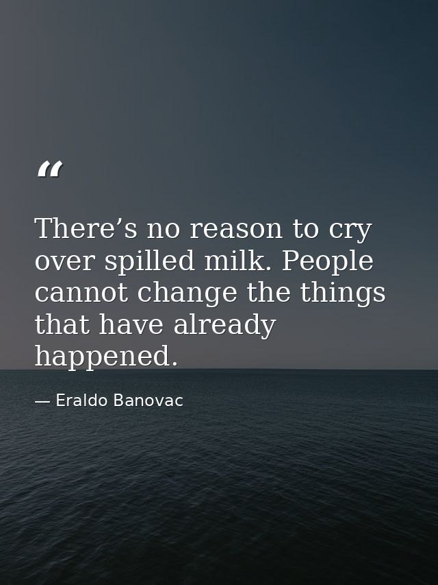 There’s no reason to cry over spilled milk. People cannot change the things that have already happened. — Eraldo Banovac