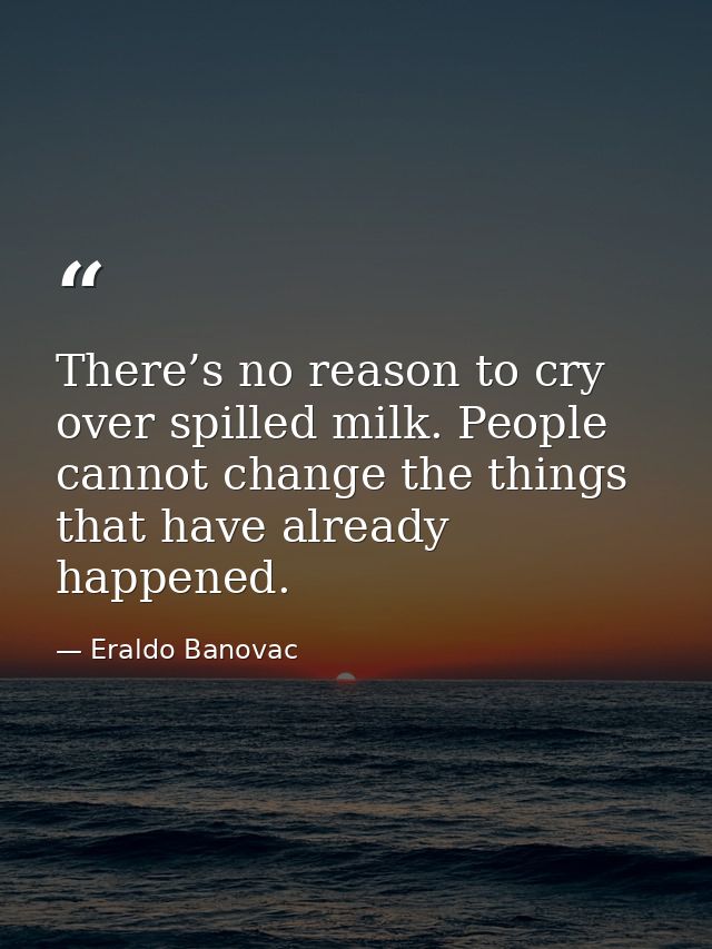 There’s no reason to cry over spilled milk. People cannot change the things that have already happened. — Eraldo Banovac