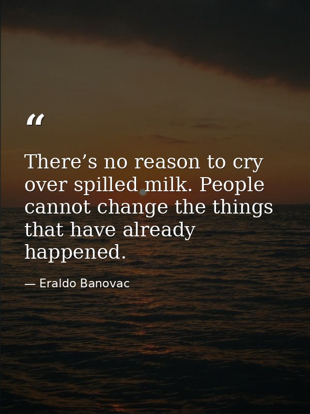 There’s no reason to cry over spilled milk. People cannot change the things that have already happened. — Eraldo Banovac