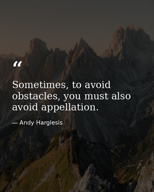 Sometimes, to avoid obstacles, you must also avoid appellation. — Andy Harglesis