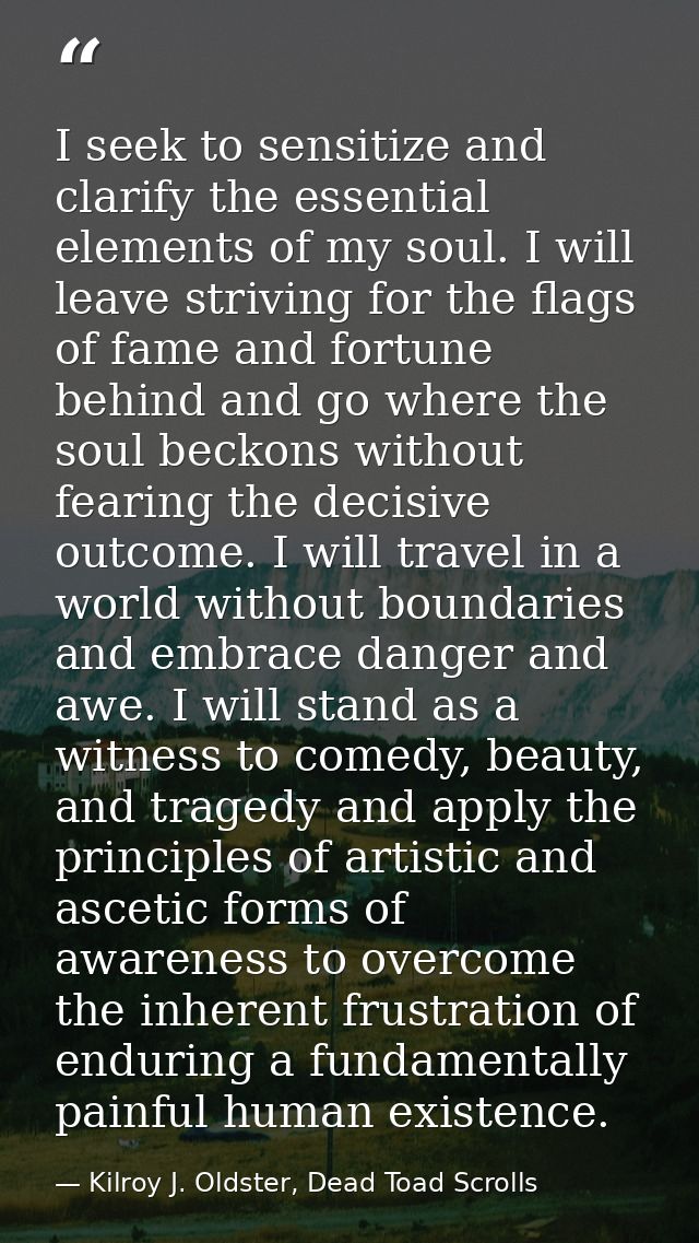 I seek to sensitize and clarify the essential elements of my soul. I will leave striving for the flags of fame and fortu — Kilroy J. Oldster, Dead Toad Scrolls
