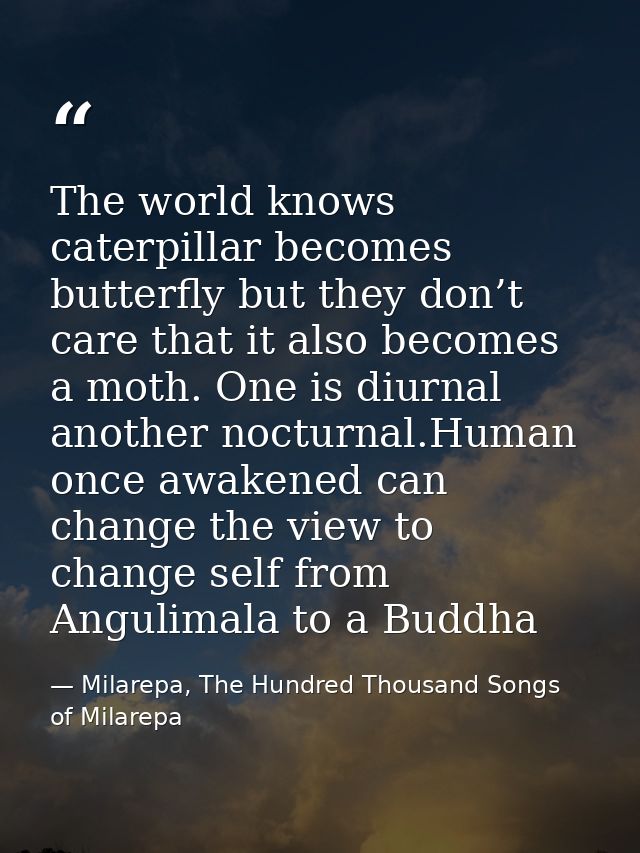 The world knows caterpillar becomes butterfly but they don’t care that it also becomes a moth. One is diurnal another no — Milarepa, The Hundred Thousand Songs of Milarepa