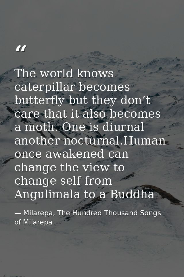 The world knows caterpillar becomes butterfly but they don’t care that it also becomes a moth. One is diurnal another no — Milarepa, The Hundred Thousand Songs of Milarepa