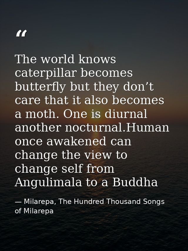 The world knows caterpillar becomes butterfly but they don’t care that it also becomes a moth. One is diurnal another no — Milarepa, The Hundred Thousand Songs of Milarepa